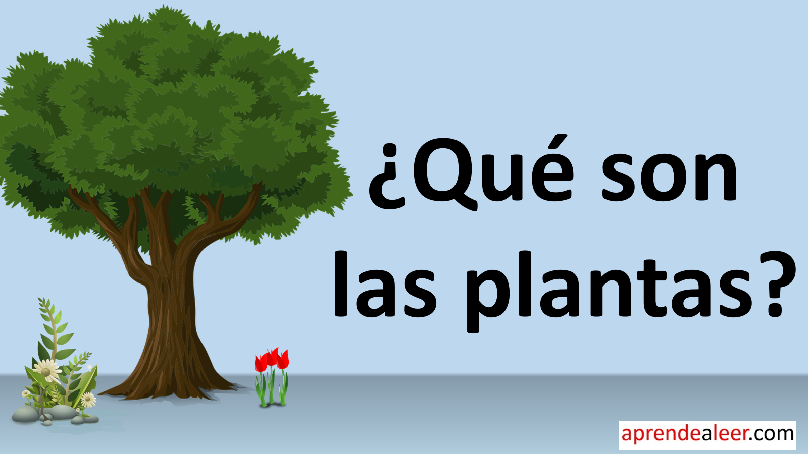  qu son las plantas aprendealeer
